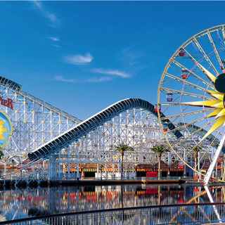 カリフォルニアディズニーランド　一緒に行ってくれる人募集！パーク...