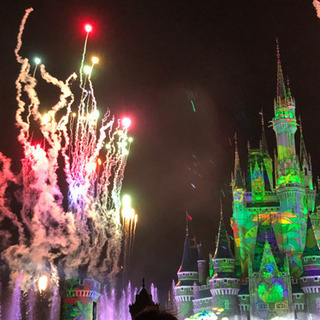 ディズニーグルチャ募集