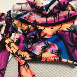 バンドゥ ビキニの画像