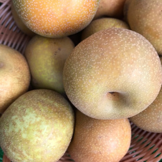 幸水 かご盛り 1000円 10個から13個の画像
