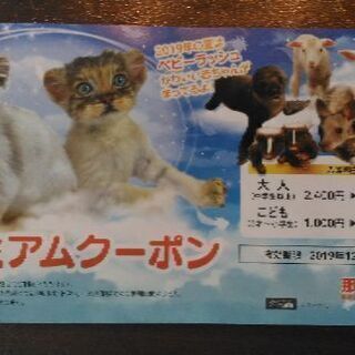 那須どうぶつ王国　プレミアム　クーポン　割引券
