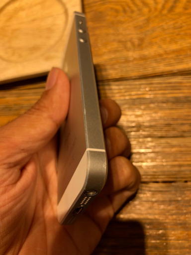 iPhone SE Silver 64 GB