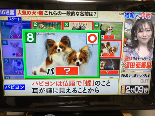 ダイナコネクティブ (Dynaconnective) 地デジDVD DY-32SDDB 32インチ