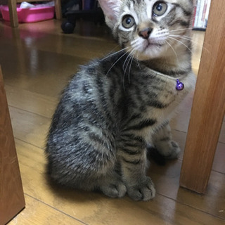 生後2ケ月の男の子