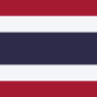 タイ🇹🇭関係のお仕事されてる方集合❣️