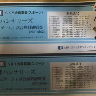 ハンナリーズ戦　2枚1組