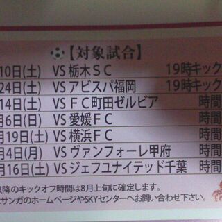 パープルサンガ戦　2枚1組　年齢設定ありの画像