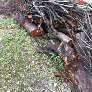 焚き木