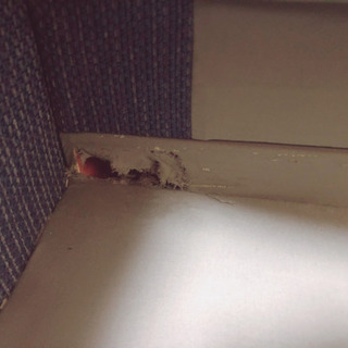 ニトリ 3人掛け ソファの画像