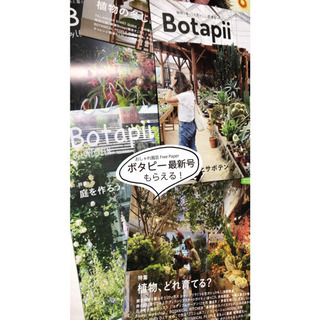 黒板 チョークボード B3サイズ の画像