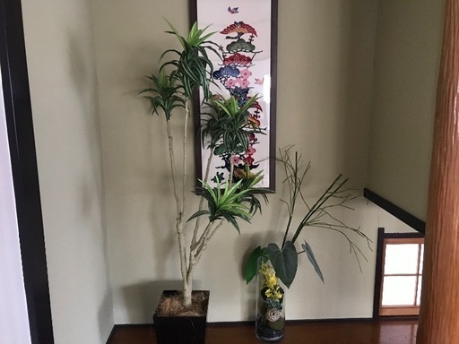インテリアグリーン 大