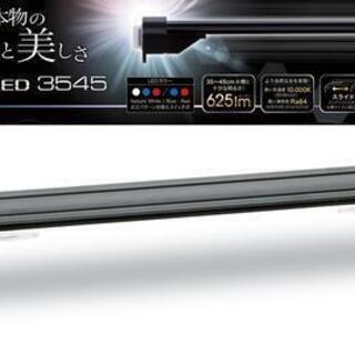 ⭐️FLAT LED 3545 ブラック⭐️の画像