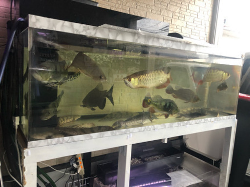 1800水槽 1200水槽 水槽台 上部フィルター