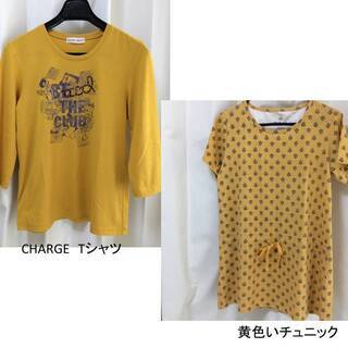 0円！Tシャツ、ブラウス　夏物、秋物の画像