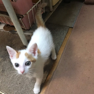生まれたばかりです