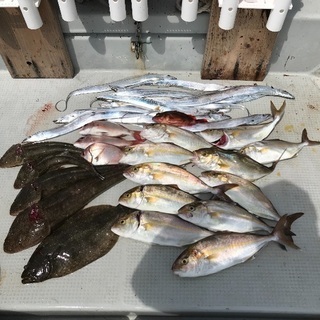 伊良湖でタイラバ、ジギング行きませんか？