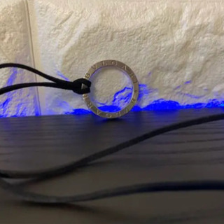 ブルガリキーレスの画像