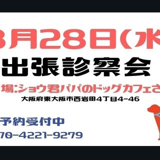 8／28（水）東大阪市ショウ君パパのドッグカフェさんにて出張診察会