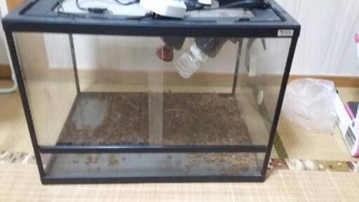 ビバリア　爬虫類　ゲージ　水槽