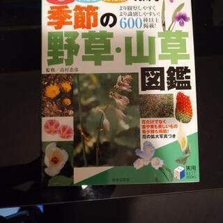 野草・山草   図鑑