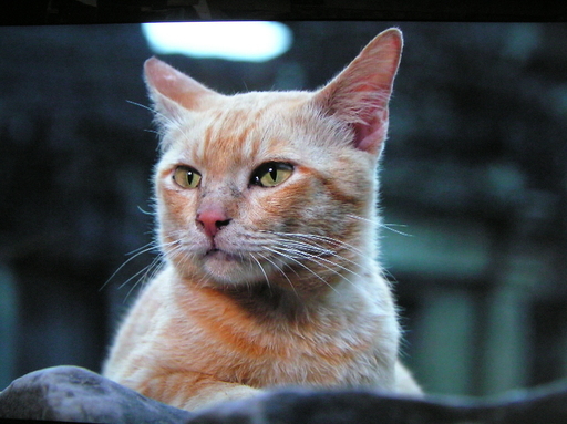 ◇取引終了 シャープ52型テレビ☆フルハイビィジョンできれい♪お取引後1週間の動作補償します。♪ LEDアクオス世界の亀山モデル