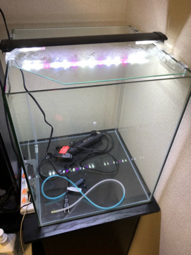 ハイタイプ水槽40センチ(熱帯魚・海水魚)
