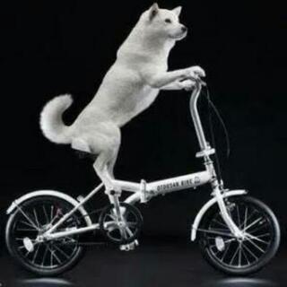 Softbank お父さんバイク 折り畳み自転車 16インチ SoftBank お父さん 折りたたみ自転車 16インチ｜Yahoo!フリマ