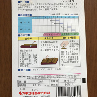 ルッコラの画像