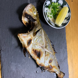 🐟海でのルアー釣り仲間募集！ - メンバー募集