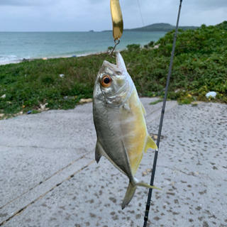🐟海でのルアー釣り仲間募集！ - 杉並区