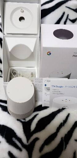その他 Googlehome