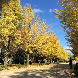 風景画を描きに行きませんか？！
