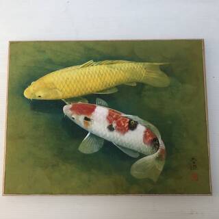 日本画　松浦青涛　　双鯉　作品の寸法10号　530×409ｍm　　額縁サイズ750×630　日本美術院院友　院展入選12回　春展入選2回の画像