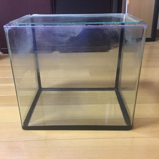 0円水槽あげます！！取りに来てください