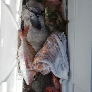 釣り仲間募集！ − 千葉県