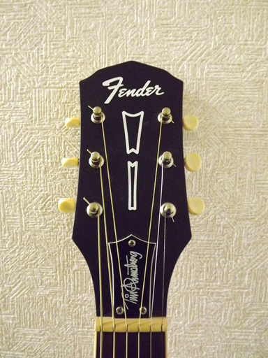 Fender Tim Armstrong Hellcat/フェンダー ティム アームストロング ヘルキャット ランシド エレアコ ナチ