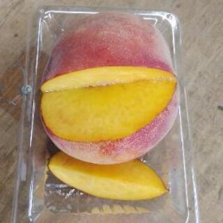 黄金桃わけあり1kg200円より《特別栽培》福島市