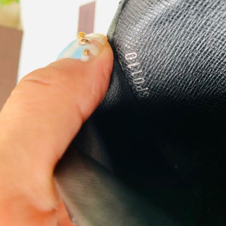 ✨正規品保証✨LOUIS VUITTON 長財布 ブラザ タイガ 二つ折りの画像