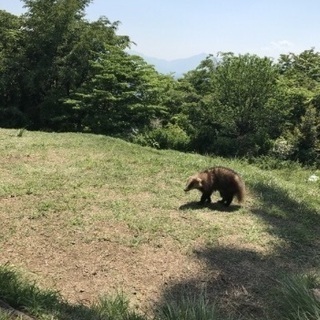 【男女10名×秋の登山&BBQ♪】9月-10月の土日で集まりましょう！ - 多摩市