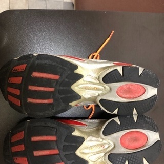 ニュートンランニングシューズの画像