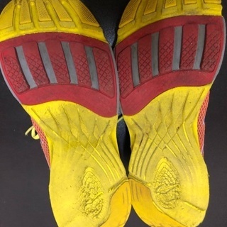 ニュートンランニング オレンジの画像