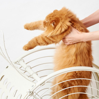 タイムトンネルペットゲージ の画像