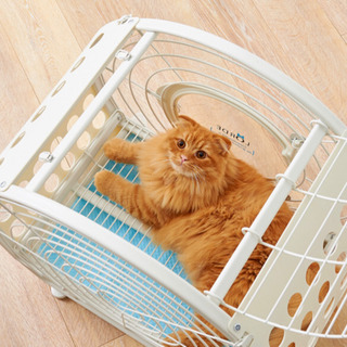 タイムトンネルペットゲージ の画像