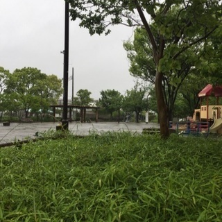 江戸川区 一ノ江フレンド公園 フリーマーケット - フリーマーケット