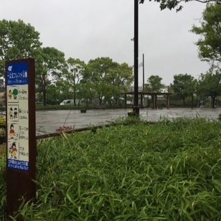 江戸川区 一ノ江フレンド公園 フリーマーケット − 東京都