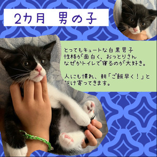 保護してきました。