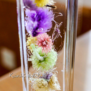 秋の花♥千日紅の虹色ハーバリウム♥