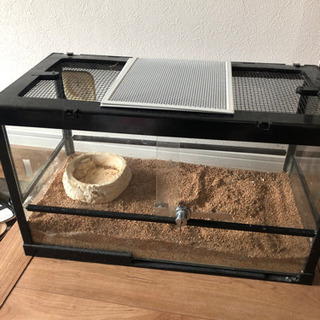 爬虫類用ゲージ