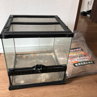 爬虫類ゲージ(小)