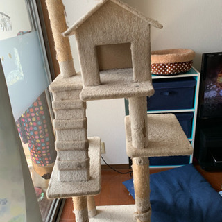 キャットタワー 二個 1年間使用